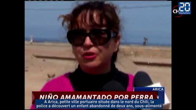 Une chienne sauve la vie d'un enfant de deux ans en l'allaitant