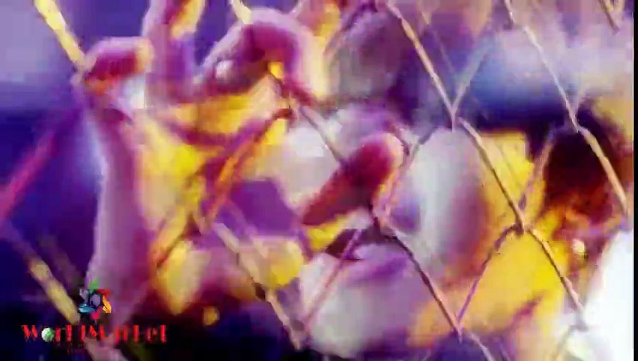 Bang Bang Bang - BIGBANG