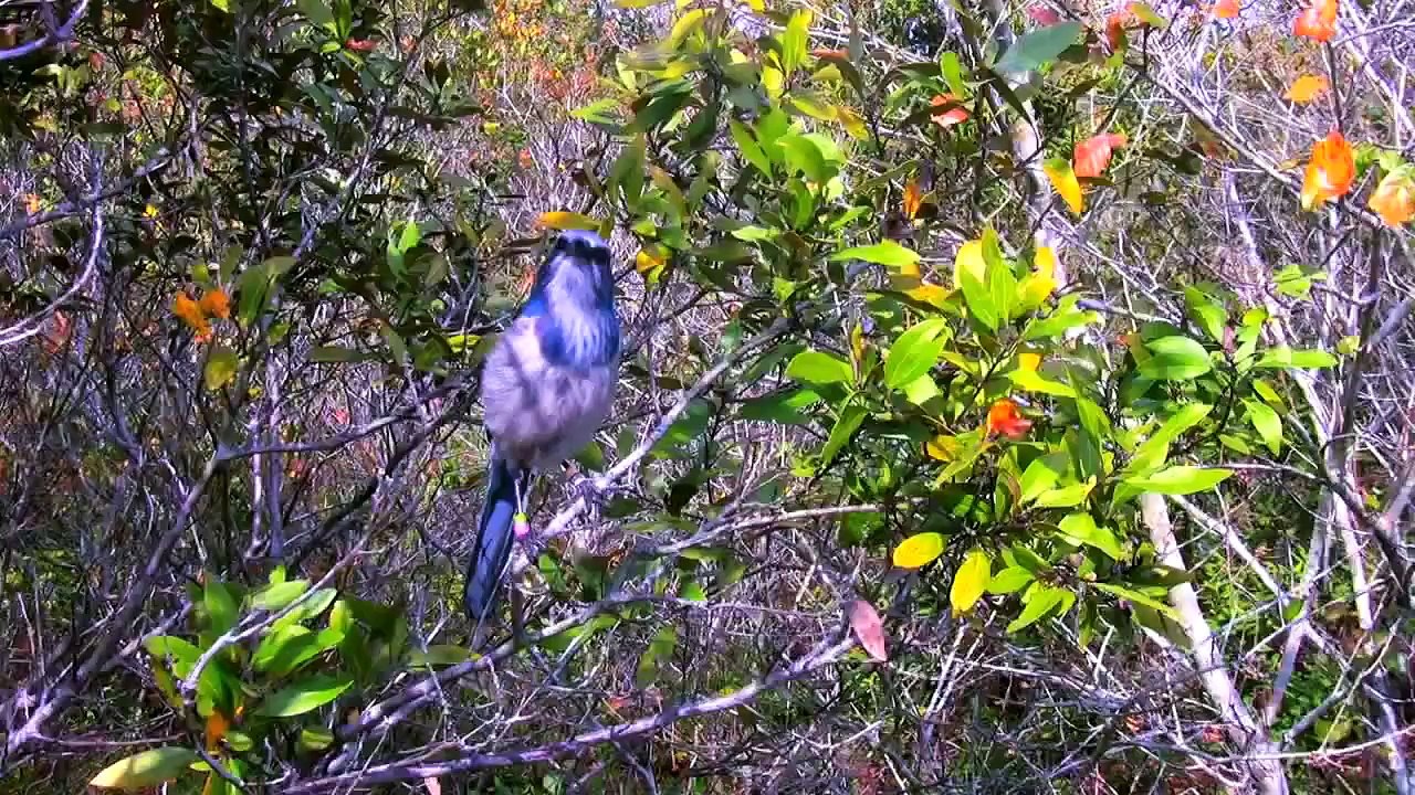 Nature is in IN Florida | Springs, State Parks, National Seashore