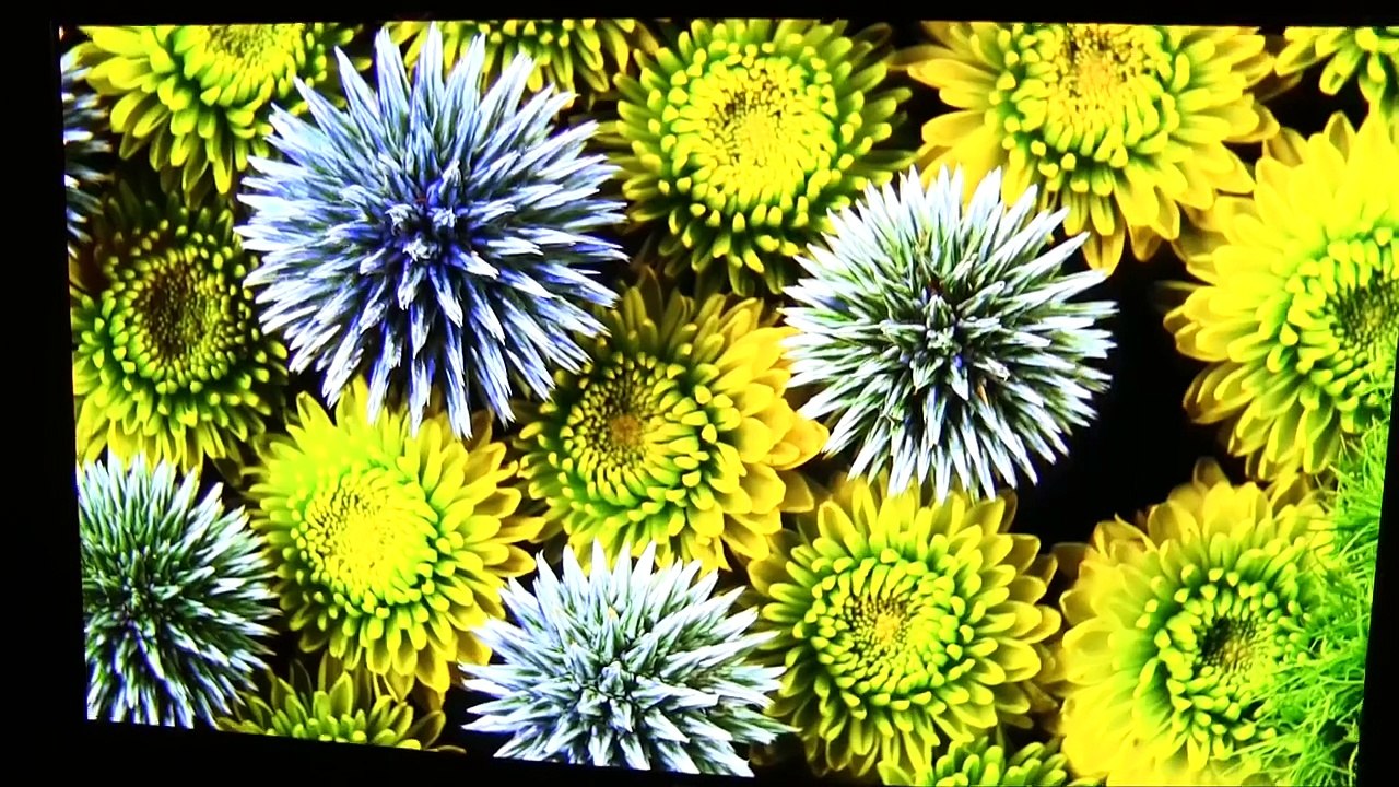 4K Oled HDR : LG sort une TV plate et une ultra fine