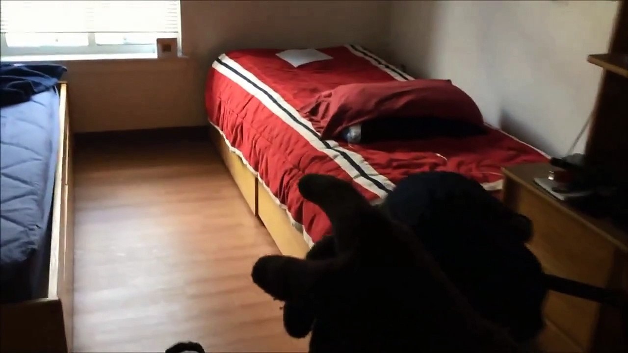 HowToBasic UNCOVERED!