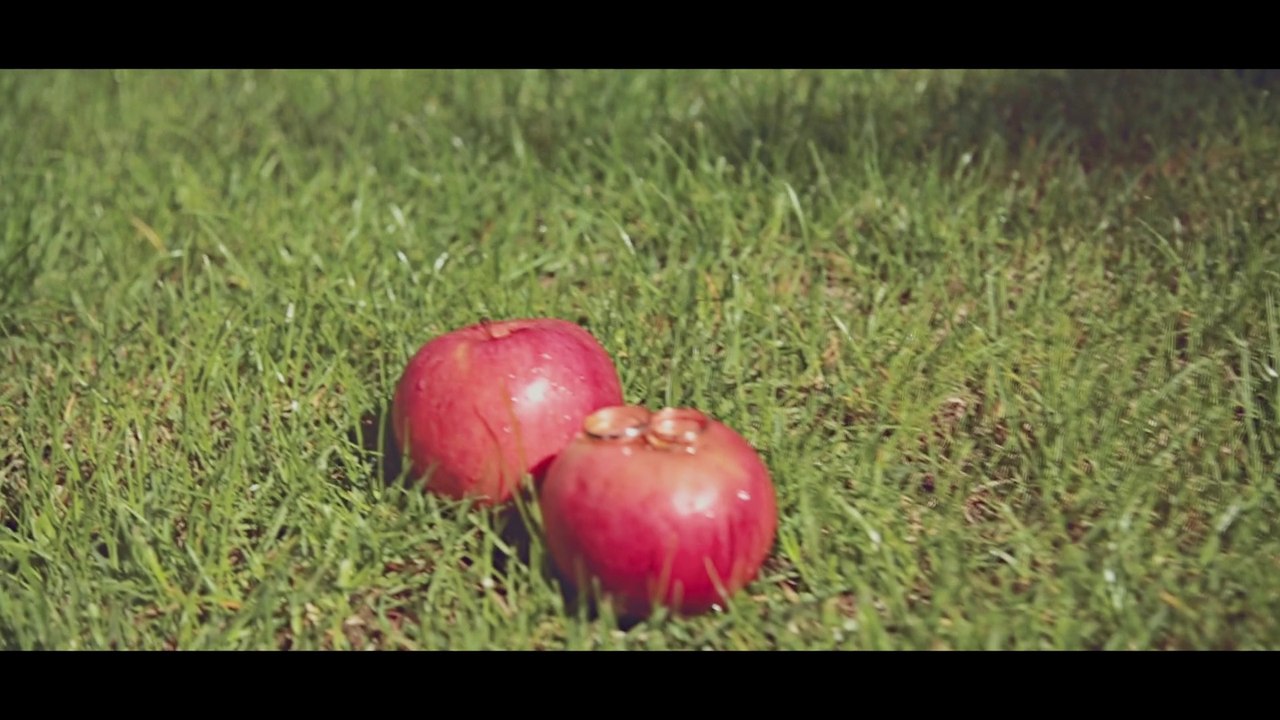 Свадебное видео Прогулка Ирина и Максим