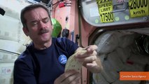 Chris Hadfield Pokes Fun at Himself in Video for Movember