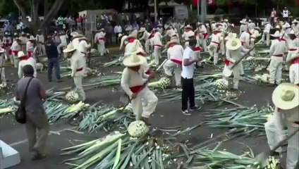 Record du monde du plus grand rassemblement de producteurs traditionnels de tequila