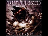 The Animal - Disturbed