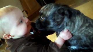 Cute Baby Really Wants Puppy Kisses