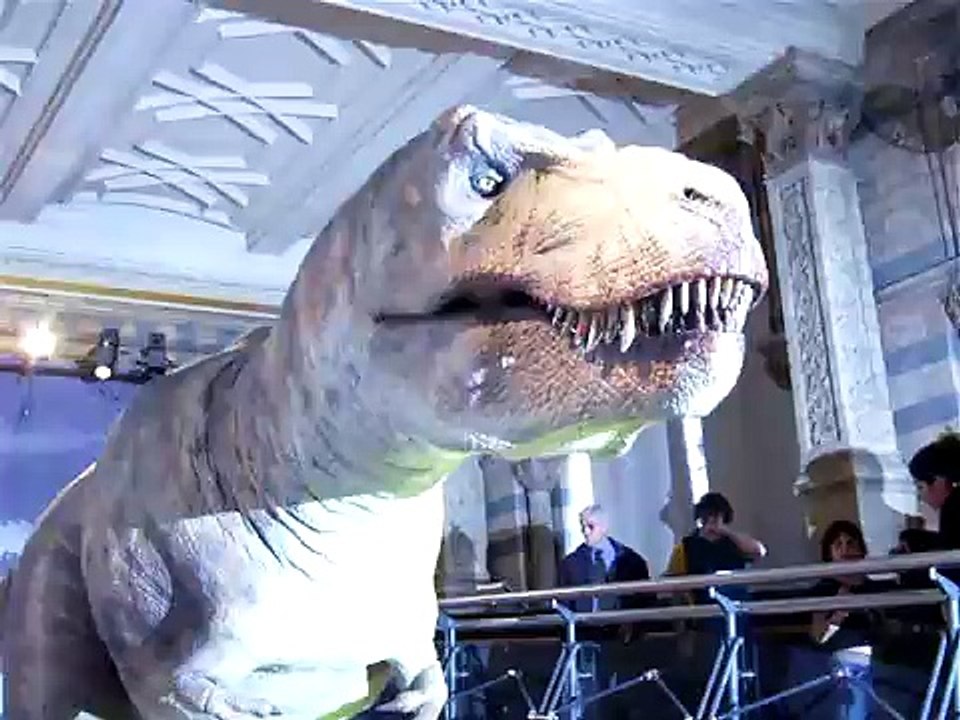 dinosaur love