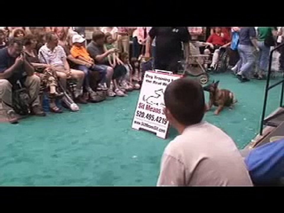 My dog loves his Remote electronic dog training collar