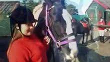 My horse khai xxx