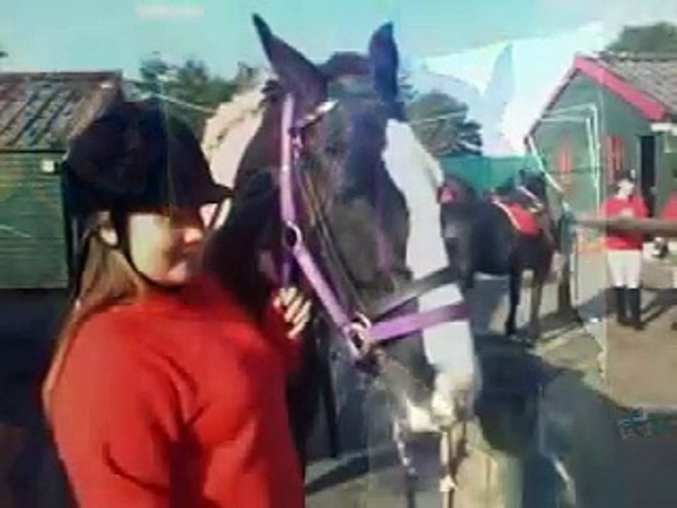 My horse khai xxx