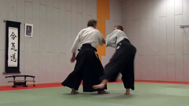 Aikido Kata Dori Menuchi Nage Waza