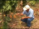 UTM - Facultad de Ingeniería Agronómica Video Promocional