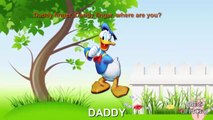 Finger Family Donald Duck Nursery Rhymes songs with lyrics and action Cartoon Animation Rh