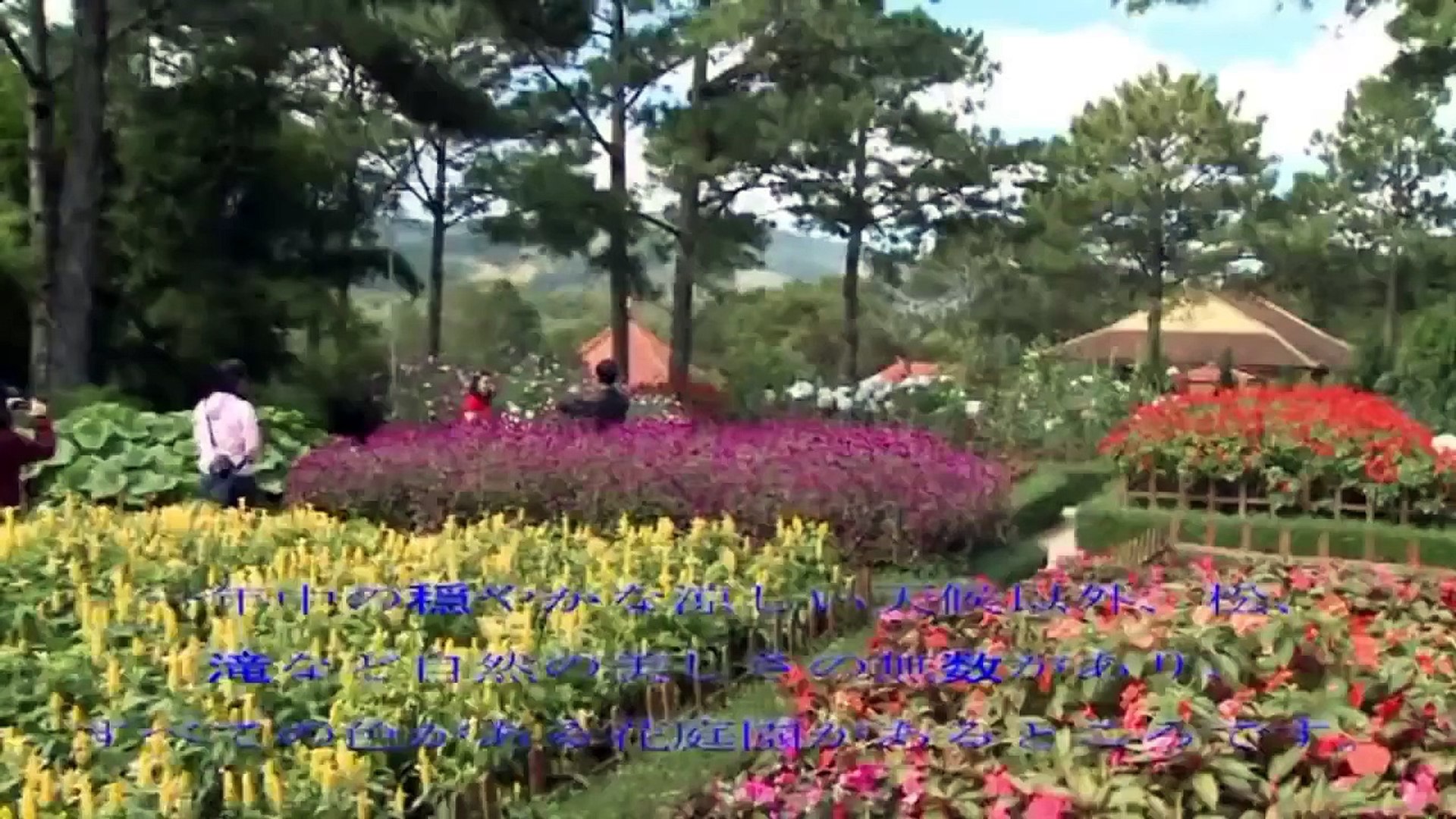 Viet nam Travel Guide - Travel Viet nam