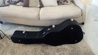 New Guitar!