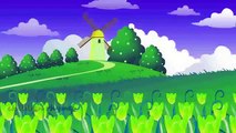 Cartoon Animated Incy Wincy Spider Nursery Rhyme | Kids Nursery Rhyme