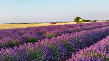 La rencontre de Valensole (2) Video propriété de Gilles Munsch