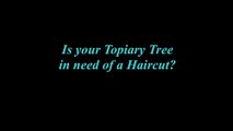 How-to Prune and Maintain your Topiary Tree