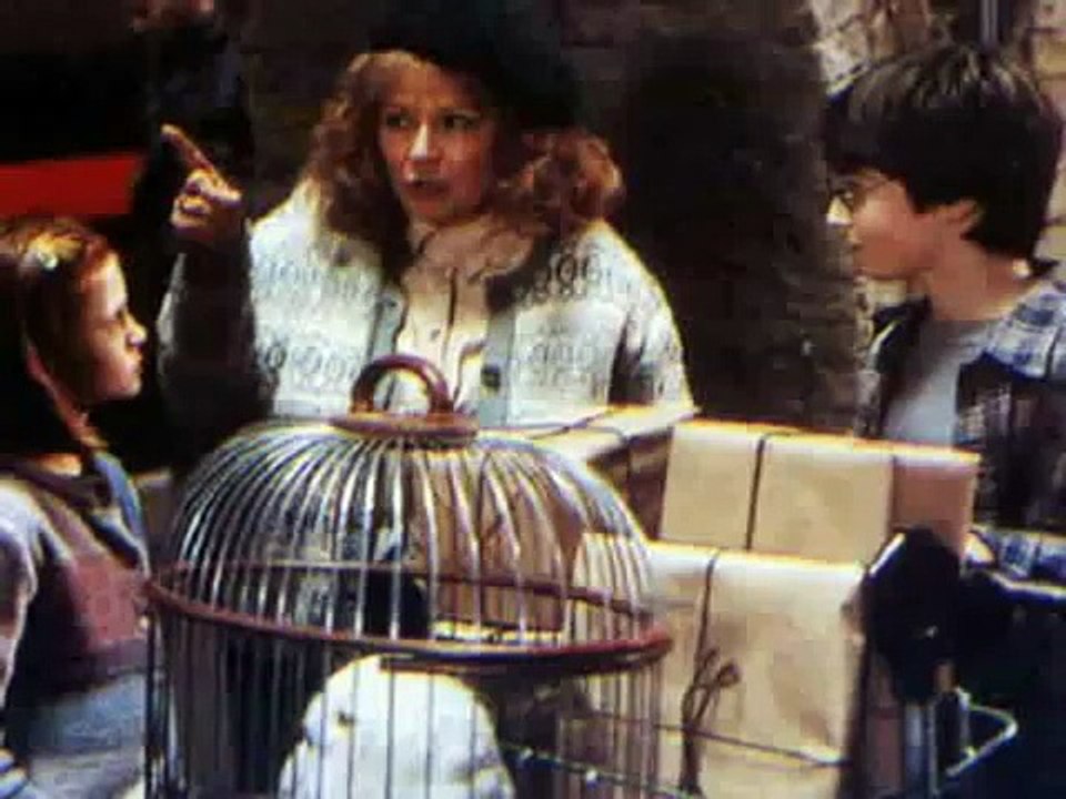 Harry and Ginny (Say that you love me)