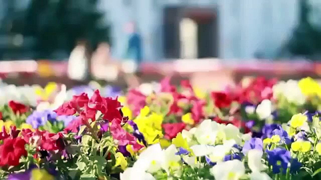 Yakutsk, Russia in Summer. Якутск, Якутия летом. - Evgeny Osipov