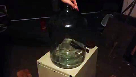 Supersized Alcohol Experiment