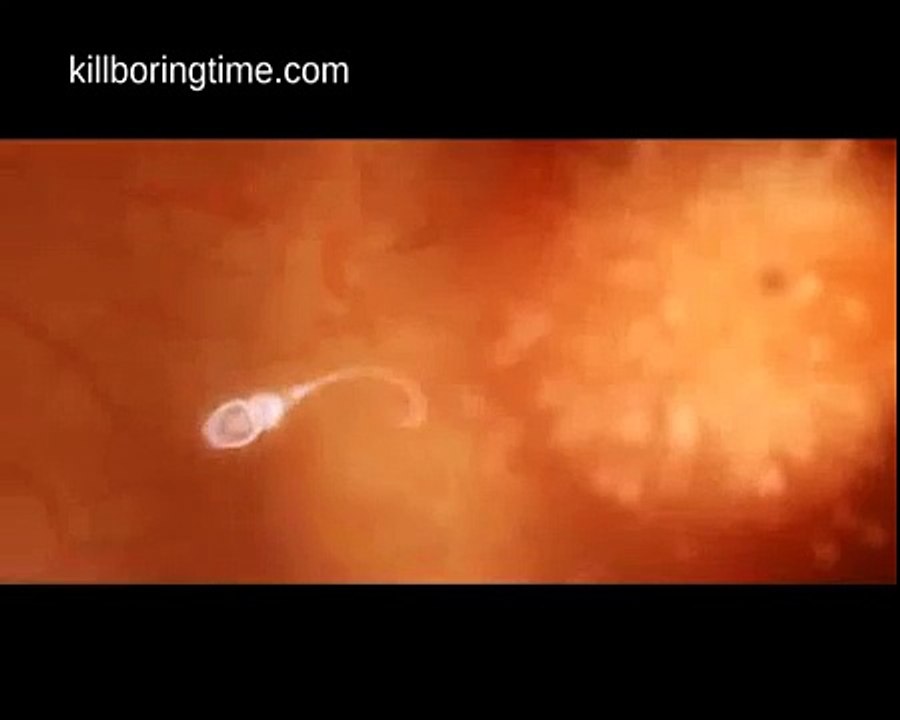 WTF funny sperm commercial