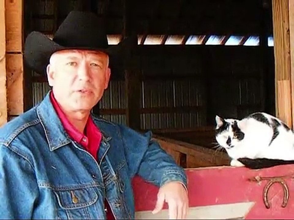laying down mustang.wmv