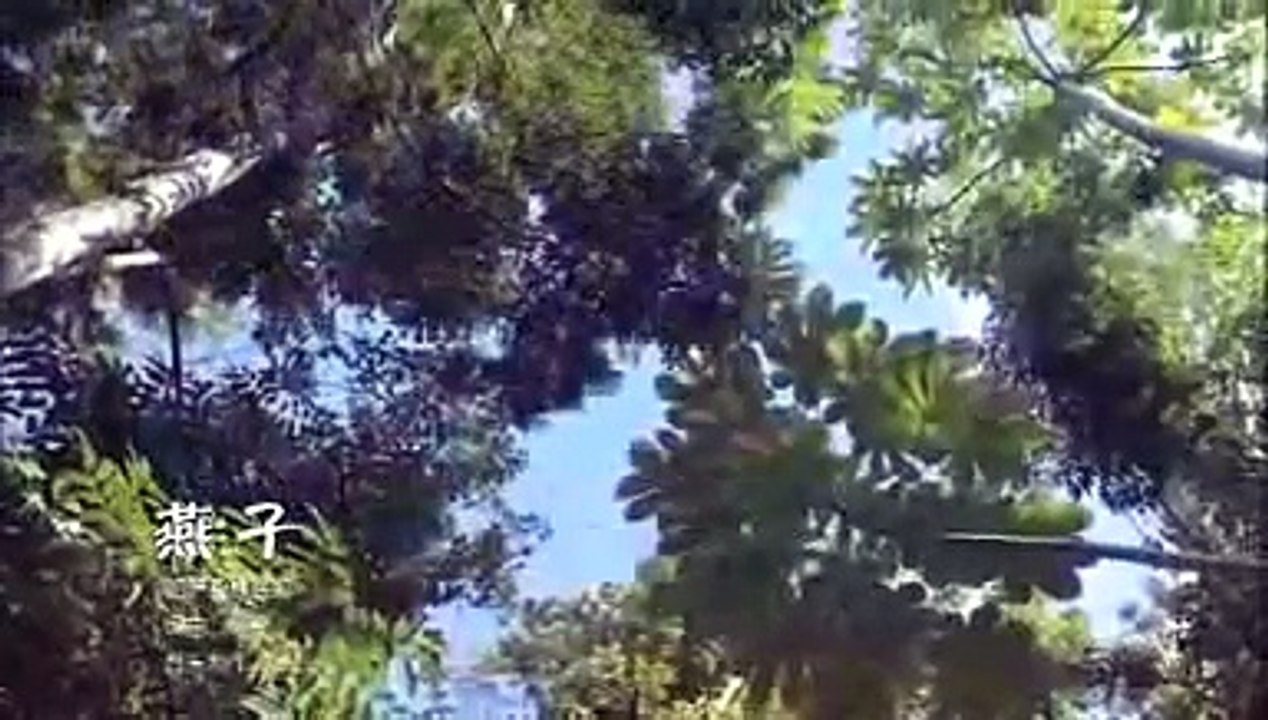 雷佳 (Lei Jia) - 燕子(Swallow) 哈萨克族民歌 (Beautiful Kazakhstan Folk Song)