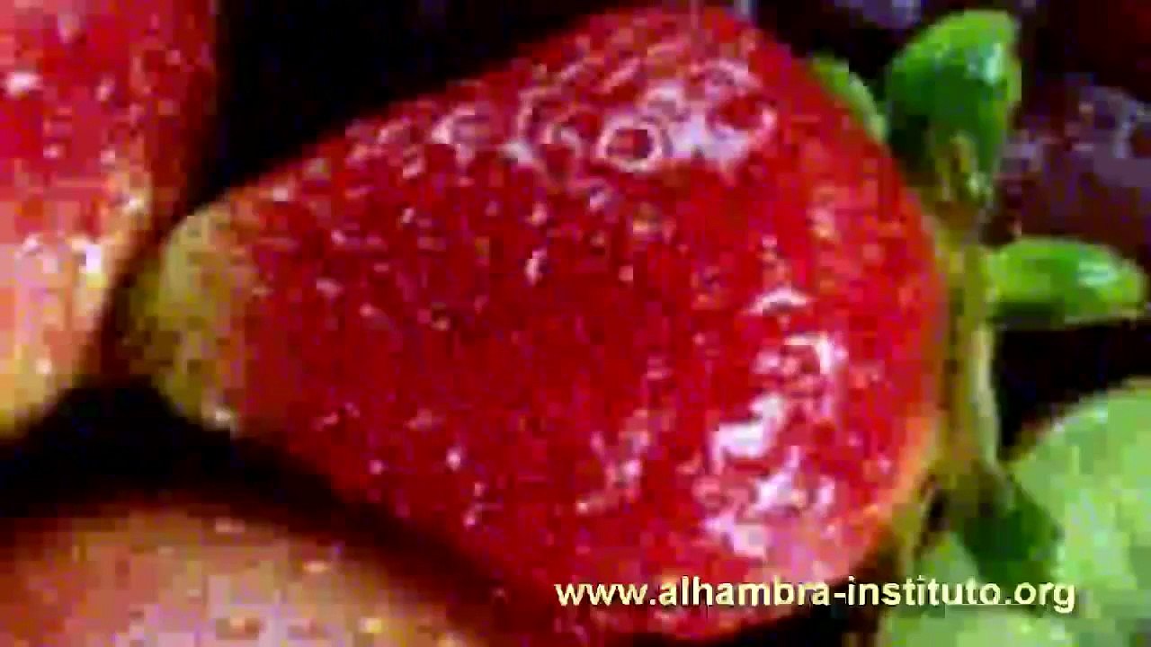 How to Speak Spanish   vocabulary for fruits,meals and foods