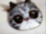 buyincoins Cartoon Cat Owl Purse Mini Coin Money Bag Zip Wallet Pocket Makeup Pouch Handbag