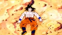 Goku Keeps Squeaking: TFS DragonBall Z Abridged