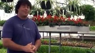 Dr Dirt Talks About Keeping Your Plants Safe