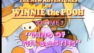 Opening To The New Adventures Of Winnie The Pooh:King Of The Beasties 1992 VHS