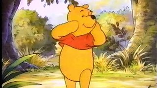 Opening To The New Adventures Of Winnie The Pooh:The Sky's The Limit 1992 VHS