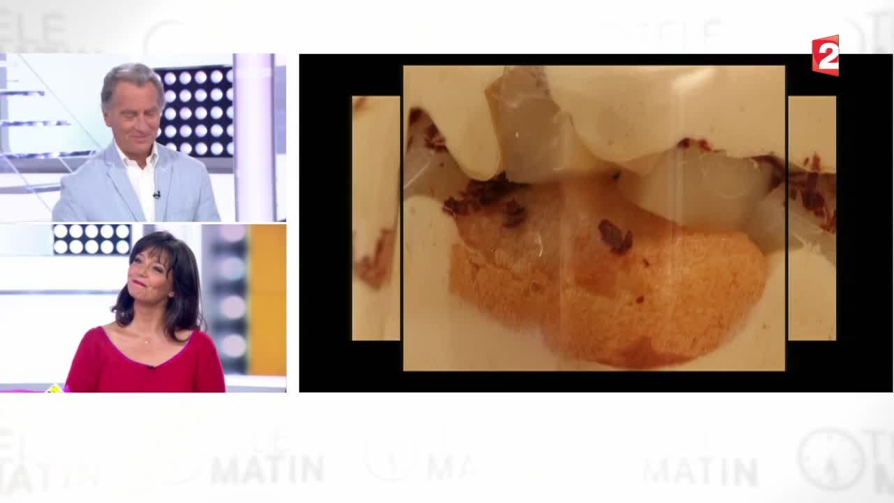 Gourmand-tiramisu