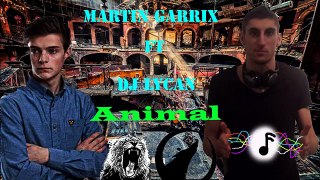 Animal- Martin Garrix (dj Lycan remix)