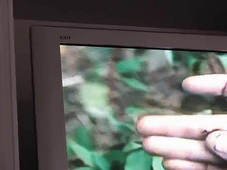 2010 CIA Illegal High Tech Electronic Harassment Surveillance using TV