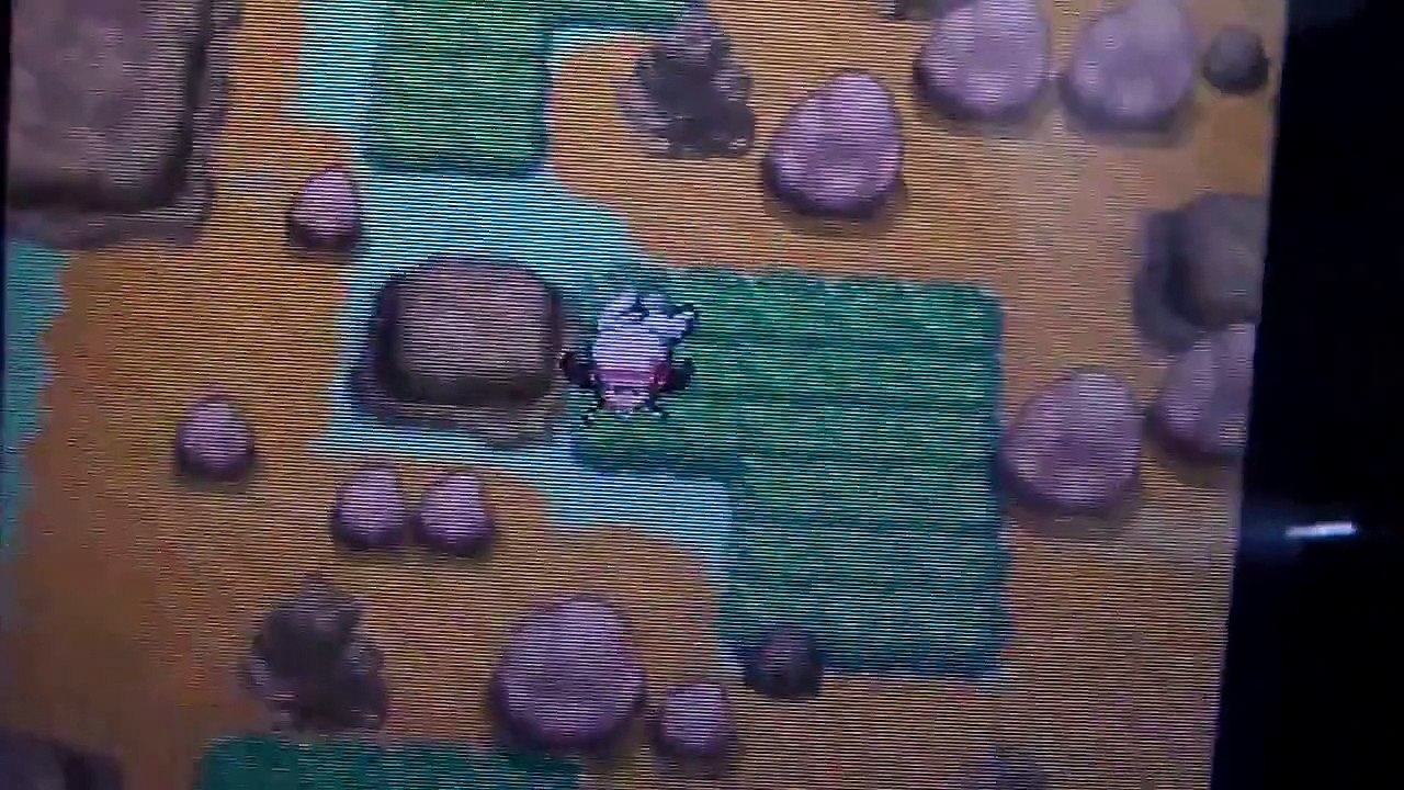 Pokemon Heart Gold/Soul Silver-How to get a Skorupi