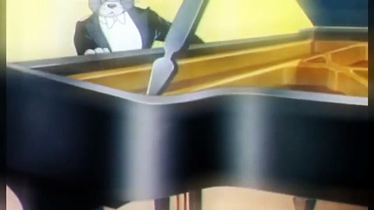 029   The Cat Concerto