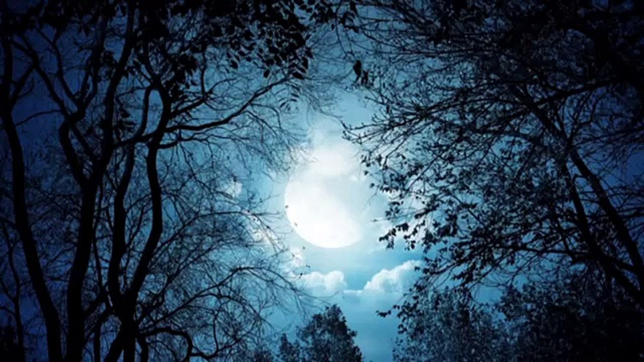 You Raise Me Up  - Westlife (превод)