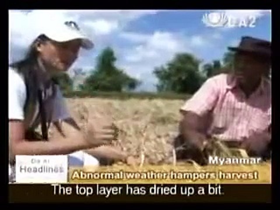20081107 Abnormal weather in Myanmar hampers haverst