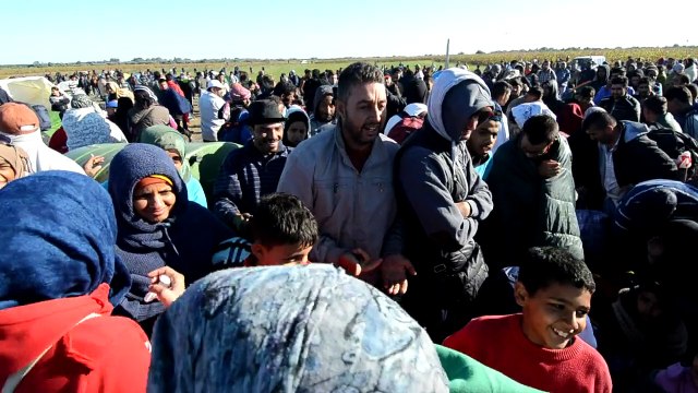 Migrants: la tension monte à la frontière hongroise