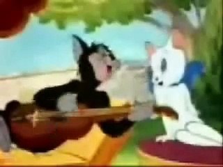 توم و جيري TOM AND JERRY