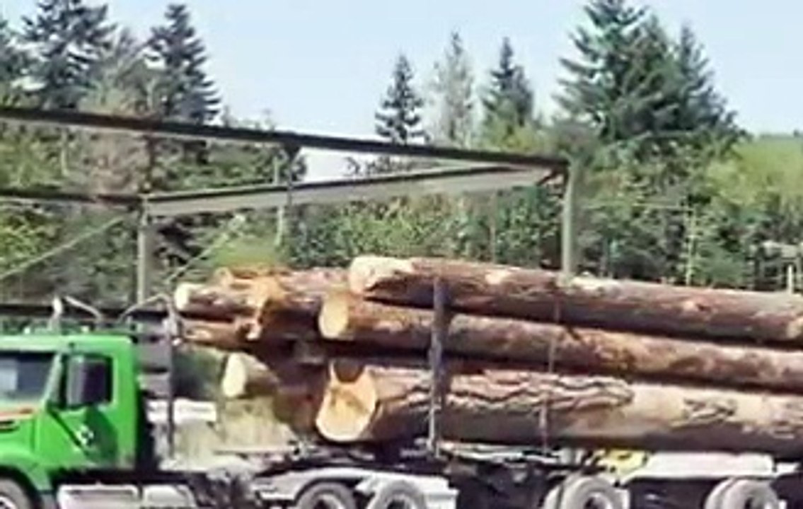 Highway Loggers 1 [Full Episode]