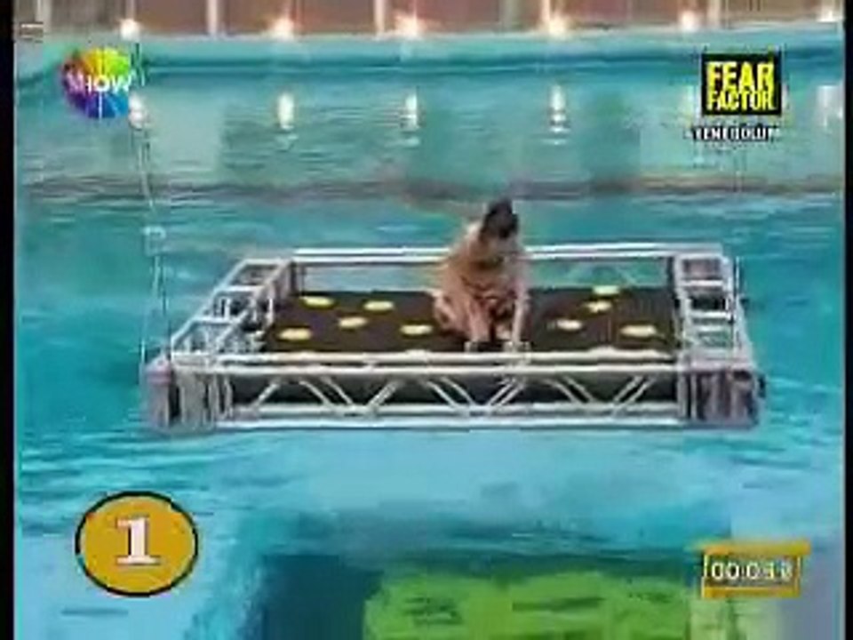 Fear Factor Turkey