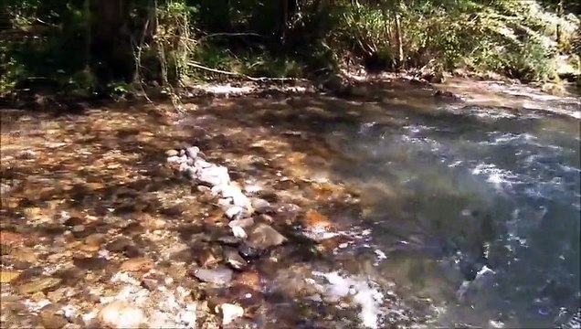 FONTAINE INTERMITTENTE DE FONTESTORBES ( ARIEGE °