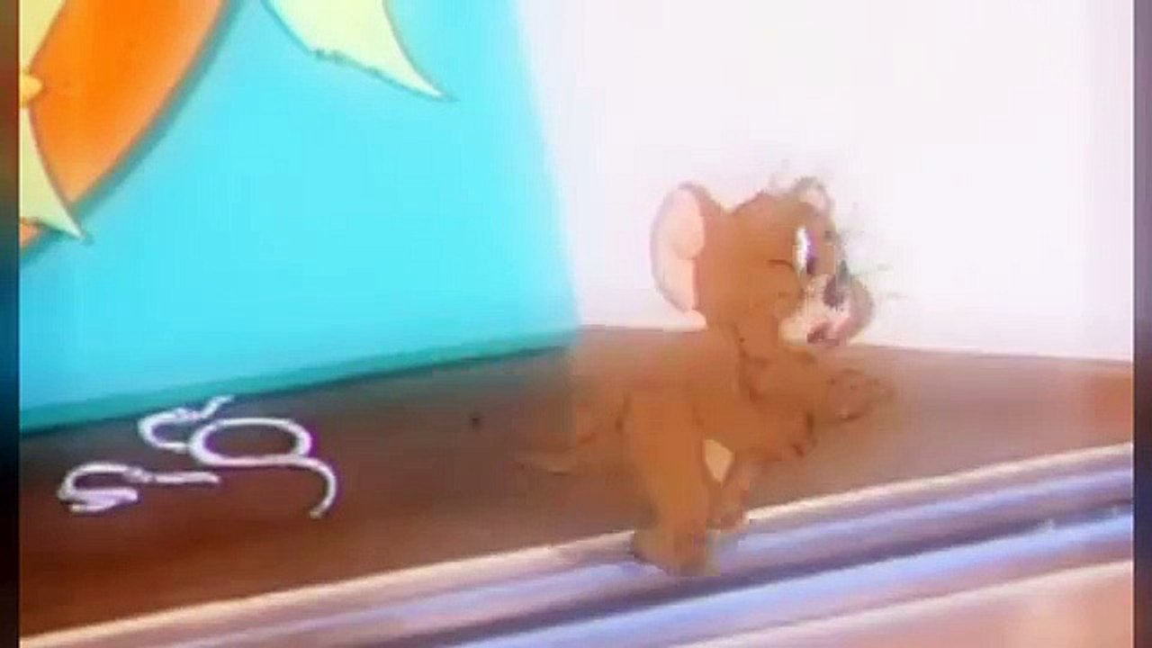 014   The Million Dollar Cat