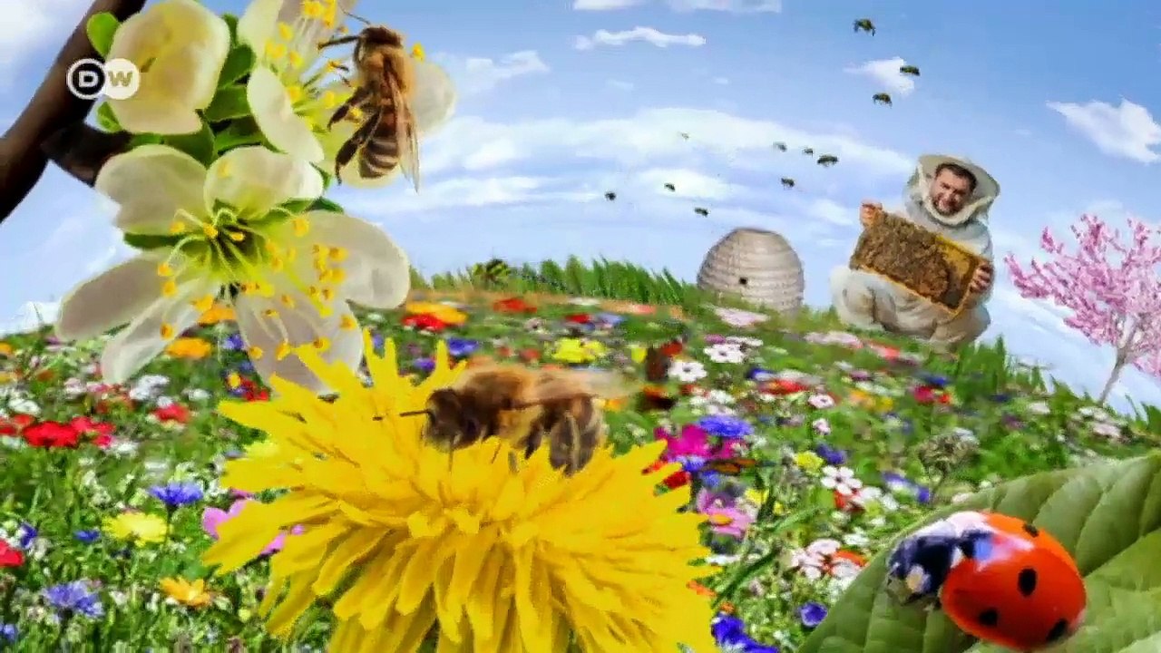 Organic farming: an opportunity for more biodiversity | Environment