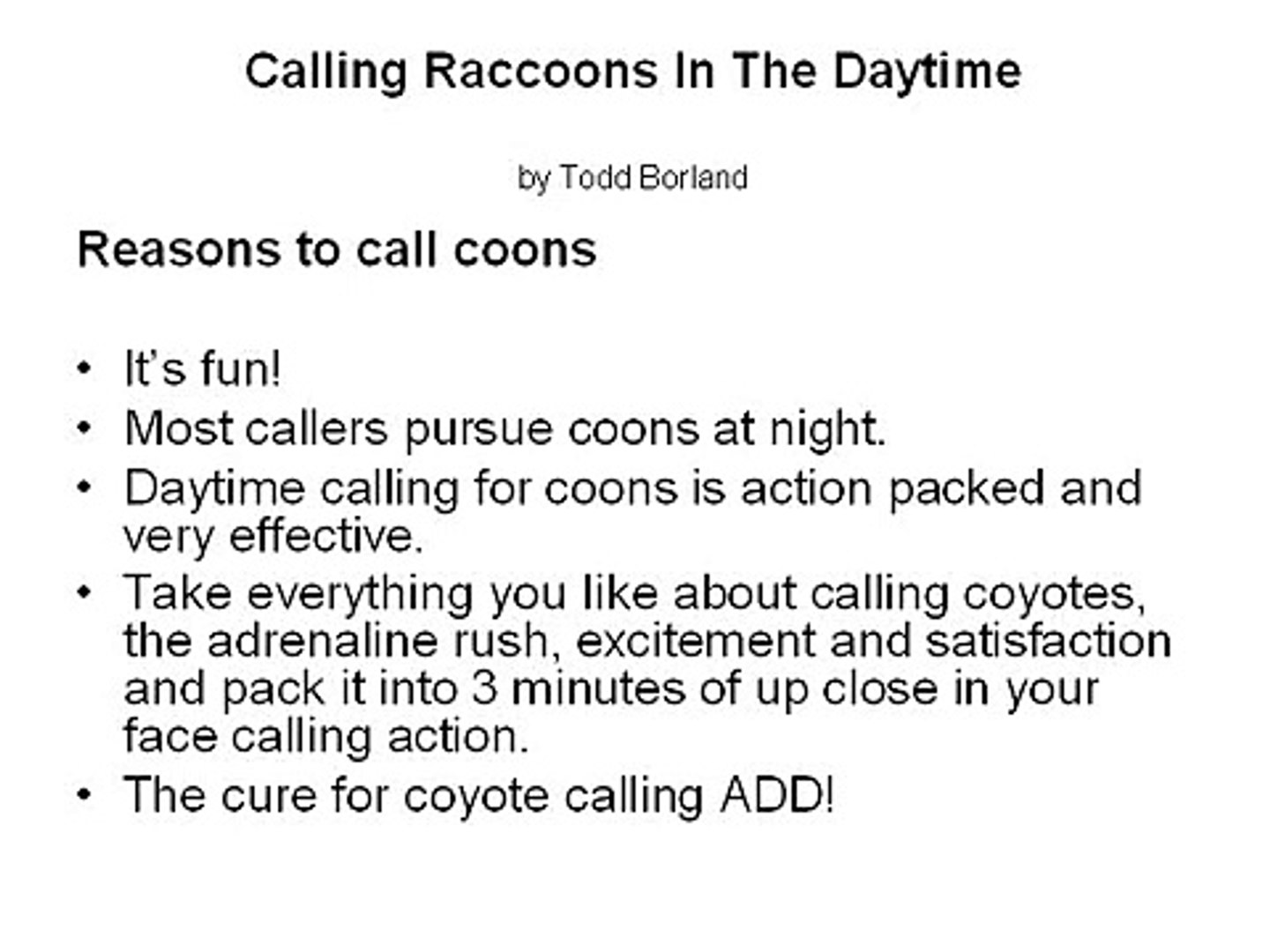 Calling Raccoons In The Daytime