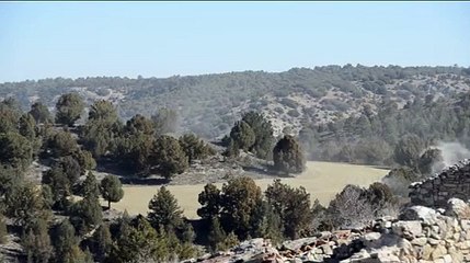 Nubes de polen en el sabinar.
